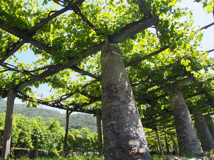 Ciao!Journal-Valle d'Aosta-3